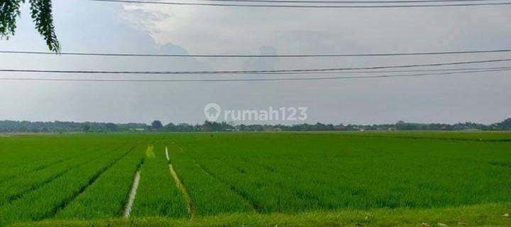 Tanah Untuk Bangun Industri Atau Gudang Pinggir Jalan Raya Rengasdengklok 1