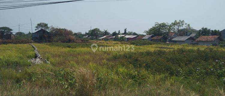 Tanah Kavling Untuk Rumah Tinggal Dekat Jalan Buni Ayu Raya Banjarsari 1