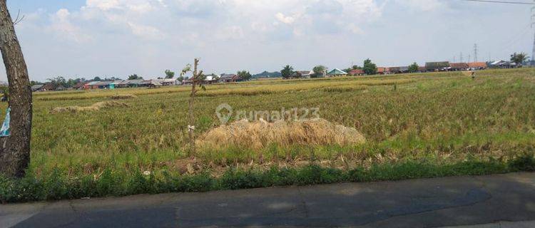 Tanah Untuk Bangun Usaha Dan Gudang Pinggir Jalan Syeh Quro Majalaya 1