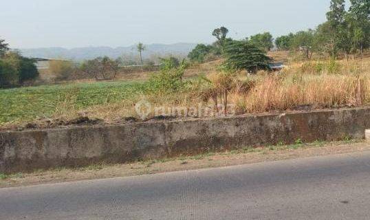 Tanah Industri Dan Gudang Pinggir Jalan Raya Subang Cikamurang Serta Dekat Gerbang Tol Cikedung Indramayu 1