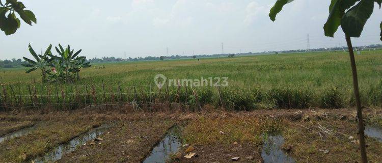 Tanah Untuk Perumahan Subsidi Pinggir Jalan Katimaha Karangsetia Bekasi 1