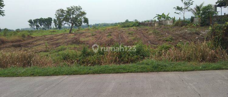 Tanah Industri Dan Gudang Atau Pool Kendaraan Pinggir Jalan Raya Subang Cikamurang Desa Sanca Indramayu 1