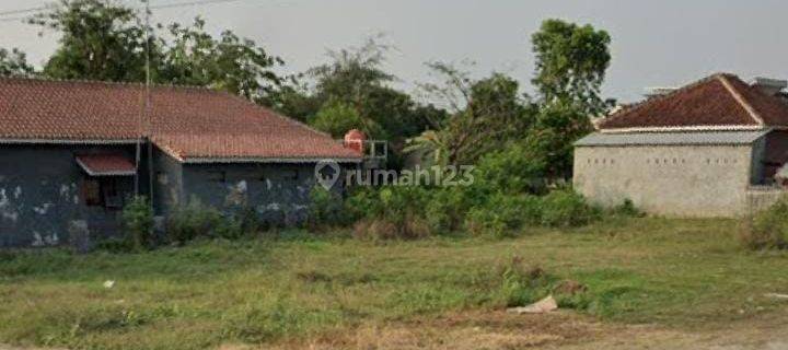 Tanah Untuk Usaha Kantor Dan Gudang Pinggir Jalan Pantura Pusakanagara Dekat Pelabuhan Patimban Subang 1