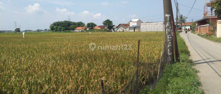 Tanah Untuk Perumahan Subsidi Pinggir Jalan Srimukti Dekat Gerbang Tol Gabus Tambun Utara 1