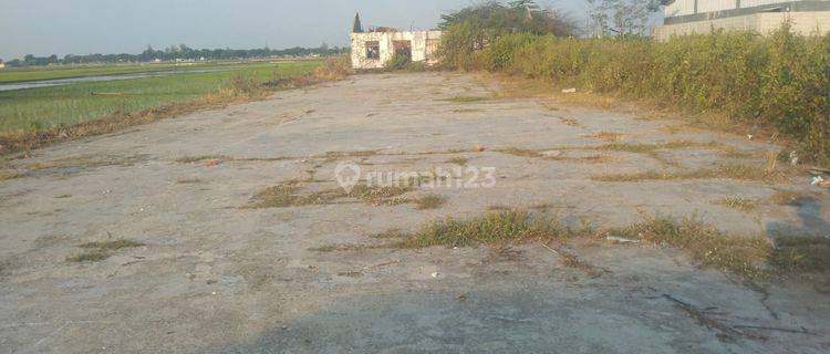 Tanah Untuk Bangun Gudang Dan Usaha Industri Dekat Jalan Pantura Dan Gerbang Tol Pemalang Jawa Tengah  1