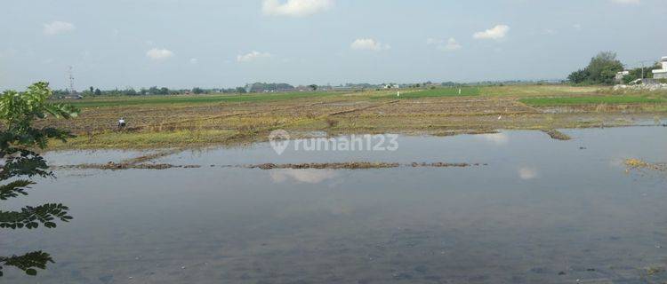 Tanah Untuk Bangun Ruang Usaha Atau Gudang Pinggir Jalan Pantura Pemalang 1