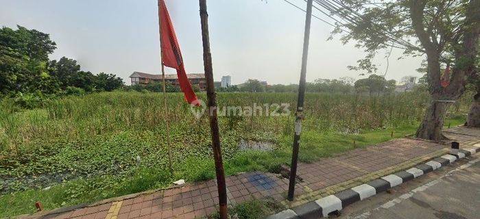 Dijual Tanah Strategis Untuk Usaha Dan Gudang Pinggir Jalan Raya Tipar Cakung Jakarta Utara 1