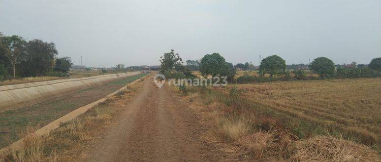 Tanah Untuk Bangun Perumahan Atau Kandang Dan Gudang Pinggirjalan Tanggul Dekat Haurgeulis 1