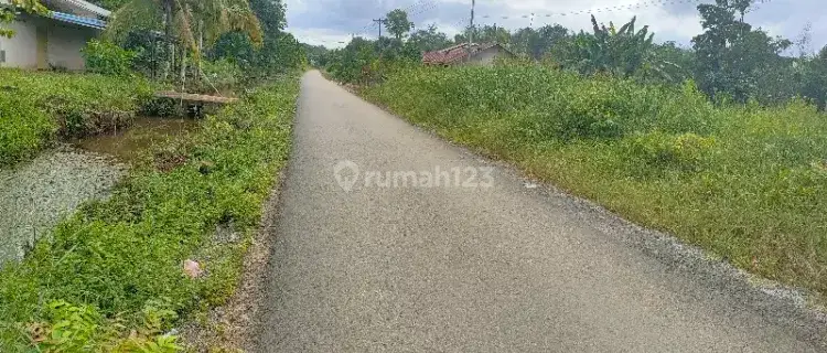 Tanah Untuk Kebun Dan Indiustri Strategis Dekat Jalan Trans Kalimantan 1