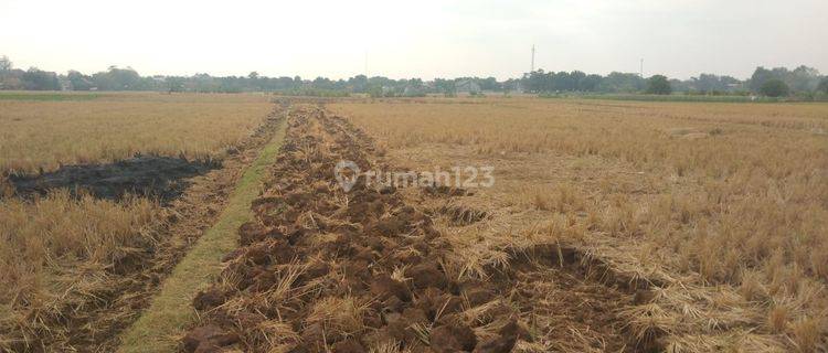 Tanah Kavling Strategis Pinggir Jalan Dekat Stasiun Haurgeulis Indramayu 1