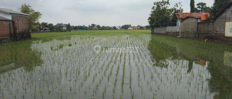 Tanah Sawah Untuk Usaha Atau Gudang Pinggir Jalan Pantura Lohbener 1