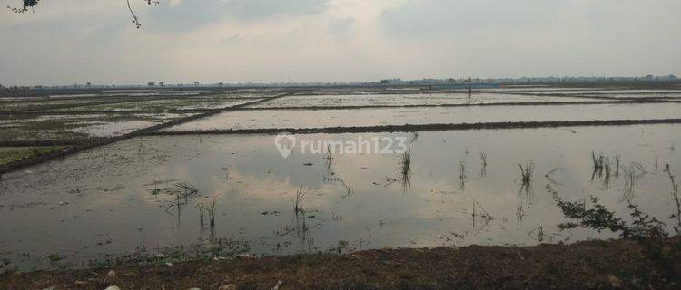 Tanah Untuk Bangun Gudang Atau Perumahan Pinggir Jalan Raya Anjatan Indramayu 1