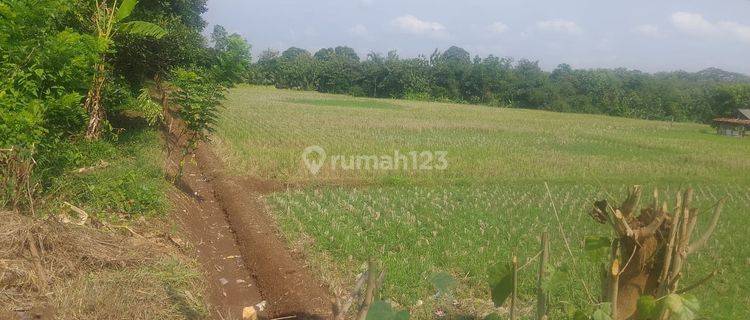 Tanah Untuk Bangun Perumahan Dekat Gerbang Tol Pinggir Kota Subang 1