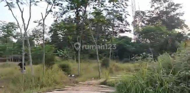 Tanah Industri Pinggir Jalan Pantura Petamanan Batang 1