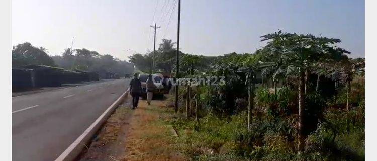 Tanah Luas, Murah dan Strategis Pinggir Jalan Daendels, Keburuhan, Ngombol, Purworejo 1