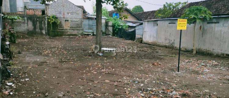 Tanah Murah Dlm Pemukiman Area Sedayu Lokasi Dkt Lalisa Farmer Village 1