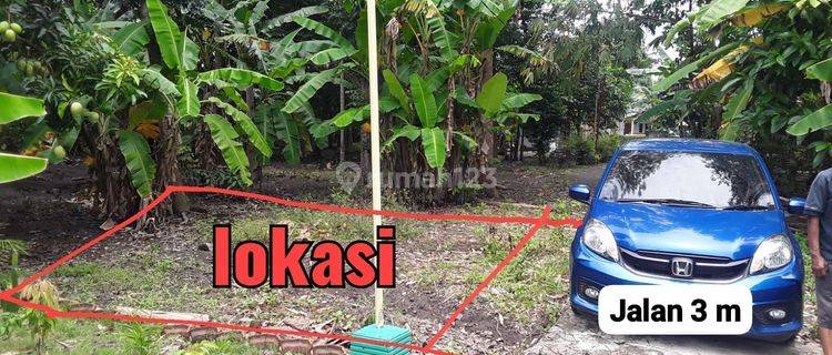 Tanah Kavling Murah Utk Rumah Dkt Sman 1 Kretek Dan Parangtritis 1