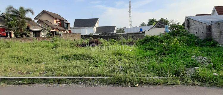 Tanah Murah Tepi Jalan Cocok Buat Homestay Lokasi Dekat Area Palagan 1