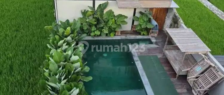 Rumah Villa Area Palagan Dengan View Sawah Dekat SCH Dan Hyatt 1