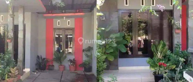Rumah Murah Dalam Cluster Area Mlati Lokasi Dekat SCH 1