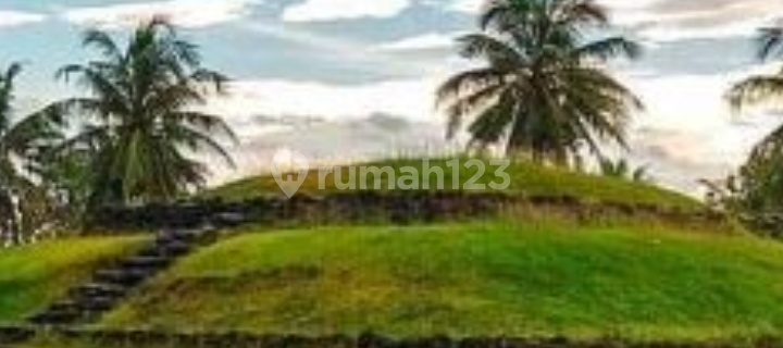 Tanah Murah Luas 8000 M2 Di Pinggir Jalan Raya Lampung Timur,  1