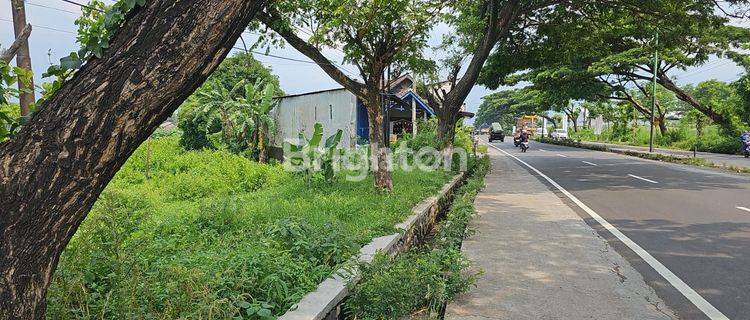 tanah Pandaan dekat ades nol jalan rame 1