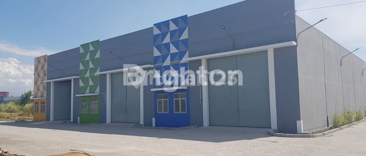 Gudang baru Sidoarjo  1