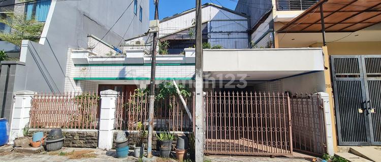 Carina's Beloved House, PLUIT "Perfect for BOARDING" 1