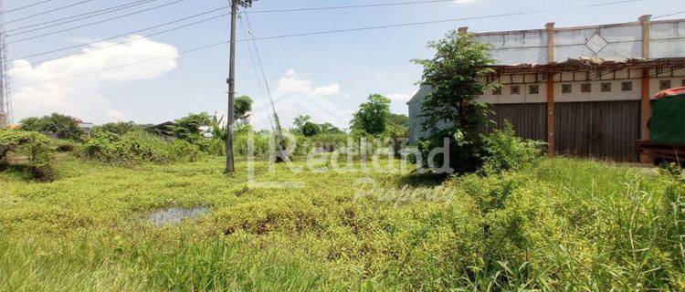 Tanah di Weleri , Kendal Me 4515  1