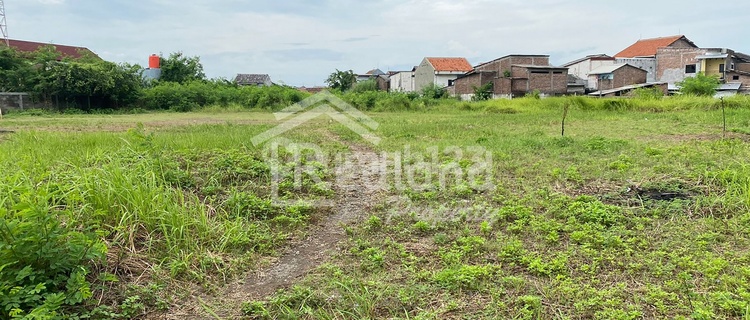 Tanah di Bandarharjo , Semarang Tt 4674  1