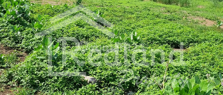 Tanah di Kawasan Cipta Guna , Semarang ( Tt 7867S ) 1