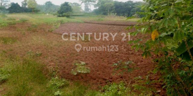 TANAH 7 HEKTAR DI CURUG SERANG COCOK UNTUK PERUMAHAN 1