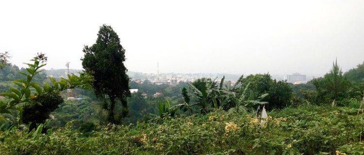 Tanah View Super Cantik Cocok Untuk Cafe Dago Pakar Barat Bandung 1