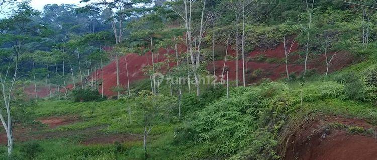 Tanah di Kampung Cibogor, Ciamis Jawa Barat 1