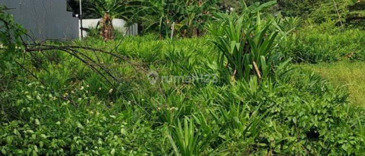 Termurah! Tanah Kavling Di Meruya Selatan  Jakarta Barat 1