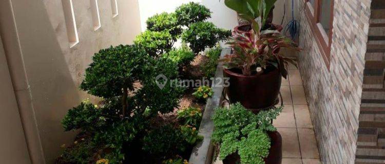 Rumah Bagus Murah Di Taman Royal 8x15 Tamgerang 1