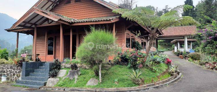 Dijual Villa Luas 9000m2 Terdapat 2 Villa Dengan 200 Pohon Durian, di Mega Mendung Puncak, Bogor 1