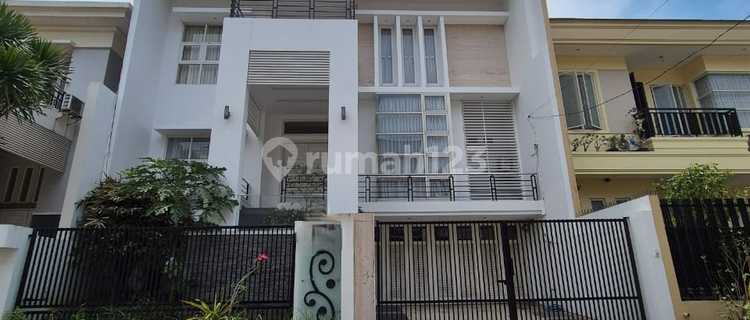 Araya Murah Harga Anjlok 1