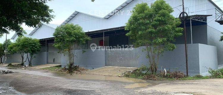 Gudang Siap Huni Di Pergudangan Patene Business Park 1