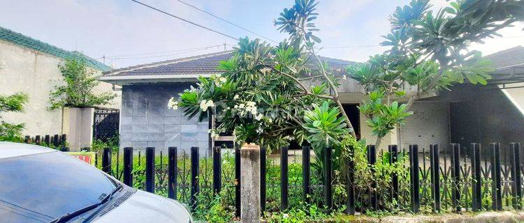 Rumah Pogung Baru Dekat Jl. Kaliurang, Plemburan, Uny, Ugm 1