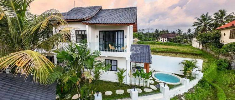 For Sale Mini Apartments In Ubud 1