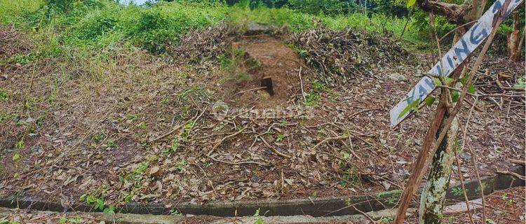 Tanah Kavling Luas di Kawasan Gunung Kerinci Lippo Cikarang 1