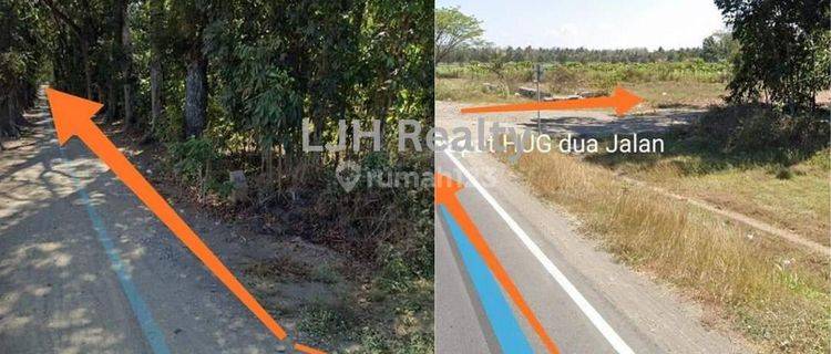 DISEWAKAN  Tanah Jalan Daendels FULL PEKARANGAN 1
