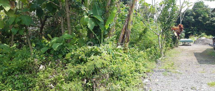 Tanah Strategis Di Jalan Kaliurang Km 9 Dekat Kampus Ugm Uii 1