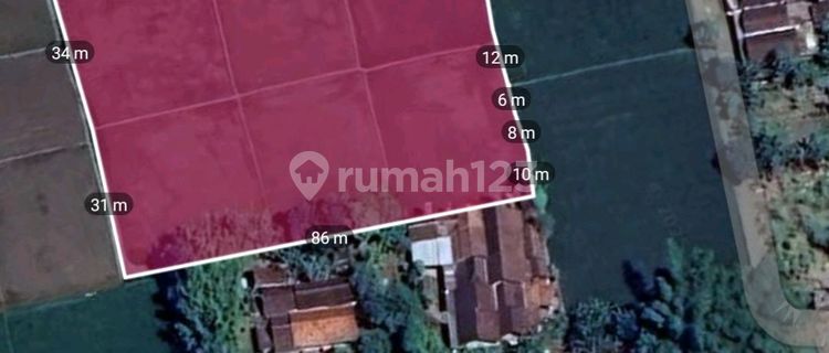 Tanah Sawah Produktif Di Jalan Lintas Timur Sumberejo Lumajang 1
