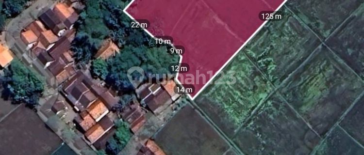 Tanah Sawah Produktif Di Jalan Lintas Timur Sumberejo Lumajang 1