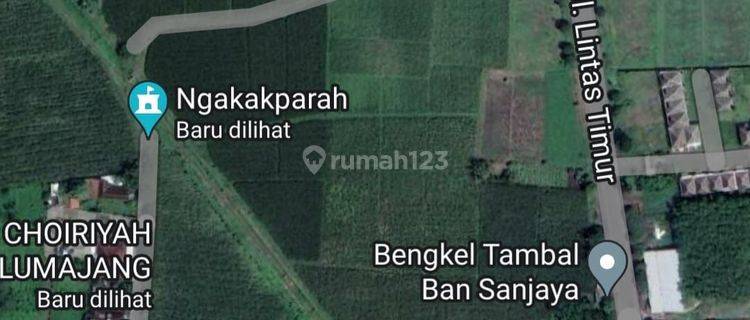 Tanah Luas Tengah Kota di Raya Suko Lumajang 1