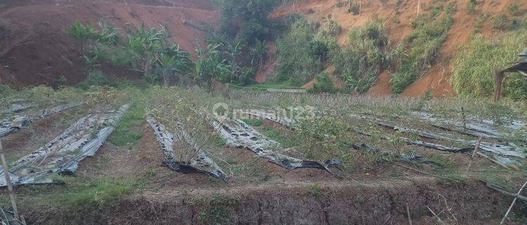 Siap Jual Tanah di Perbatasan Purwakarta Lokasi Strategis 1