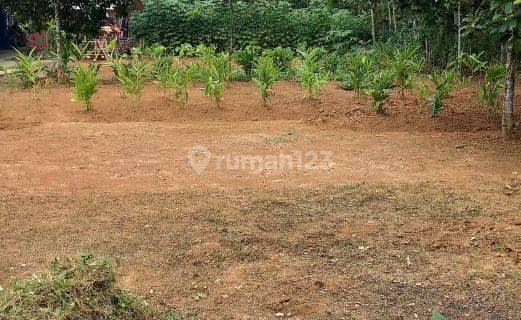 Kavling Cantik Dijual Di Sangiang Maja Lebak Banten  1