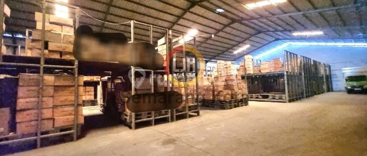 Warehouse In Terboyo 1